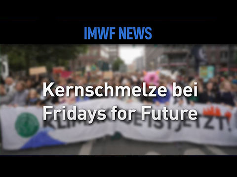 Fridays for Future Kernschmelze
